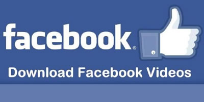 How to Download Facebook Videos, Reels & Stories?