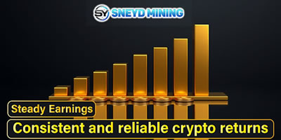 sneyd mining provides a stable, secure and trustworthy passive income solution